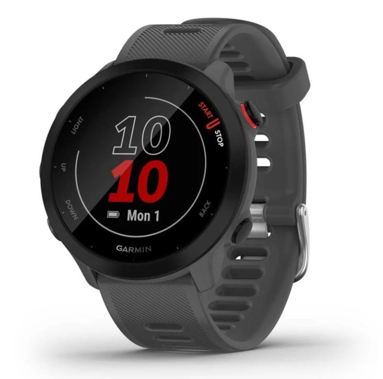 SMARTWATCH FORERUNNER 55/GREY 010-02562-13 GARMIN