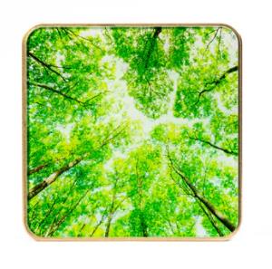 SMART HOME AIR QUALITY SENSOR/GOLD/TREE AIRV-TREE AIRVALENT