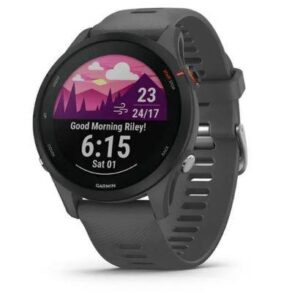 SMARTWATCH FORERUNNER 255/SLATE GREY 010-02641-10 GARMIN