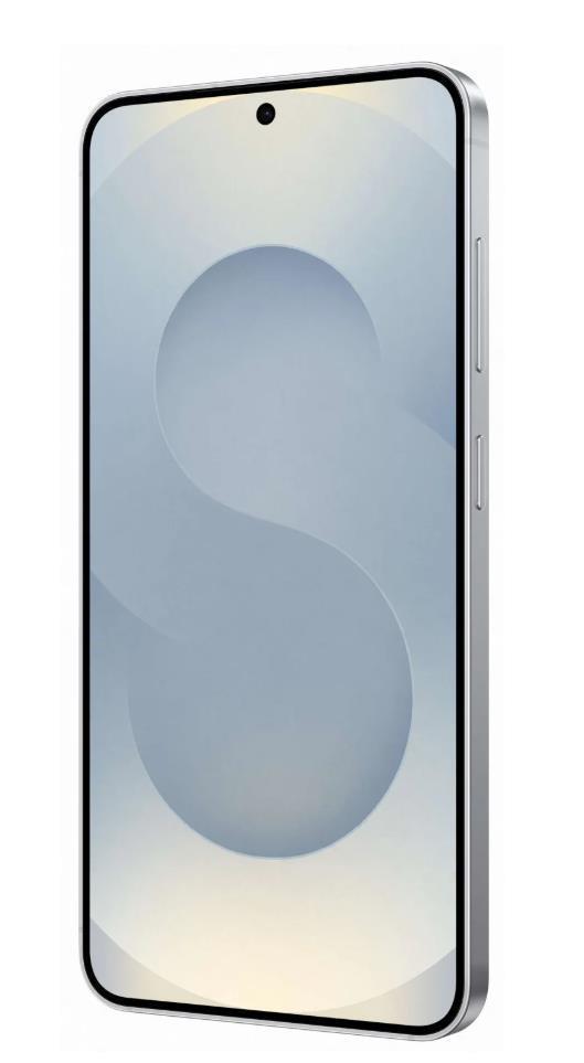 Mobiiltelefon GALAXY S25/512GB SILVER SM-S931B SAMSUNG