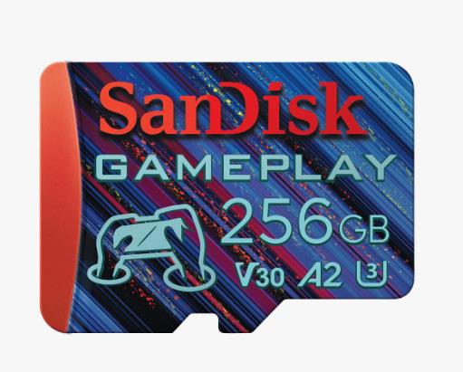 MEMORY MICRO SDXC 256GB UHS-I/SDSQXAV-256G-GN6XN SANDISK