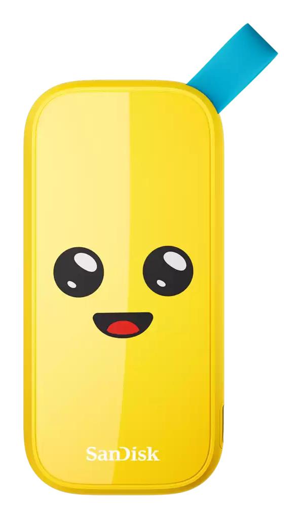 Väline SSD|SANDISK|1TB|USB 3.2|Read speed 800 MBytes/sec|SDSSDE30-1T00…