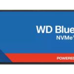 SSD|SANDISK|300xTBW rating|MTBF 1750000 h|Read speed 6600 MB/s|Write speed 5600 MB/s|NVMe Yes|PCI Express 4.0|M.2|500 GB|POWERED BY SANDISK|Blue SN5100|WDS500G5B1E-00CPE0