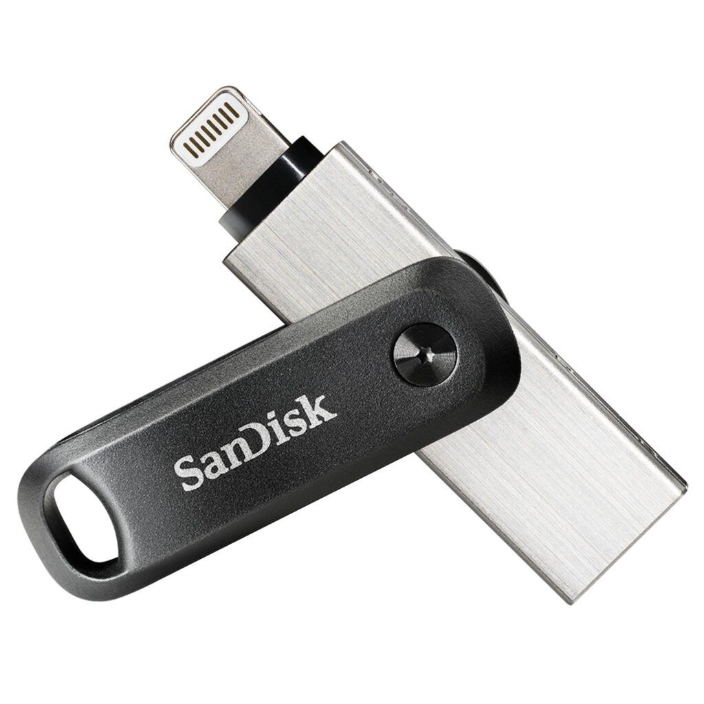 MEMORY DRIVE FLASH USB3 256GB/SDIX60N-256G-GN6NE SANDISK