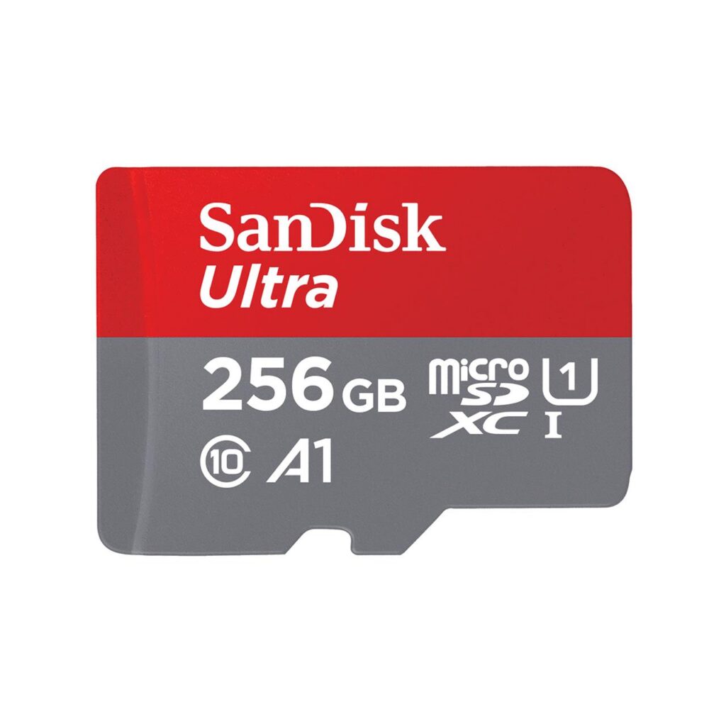 MÄLUKAART SDXC 256GB UHS-I/SDSQUNR-256G-GN6TA SANDISK