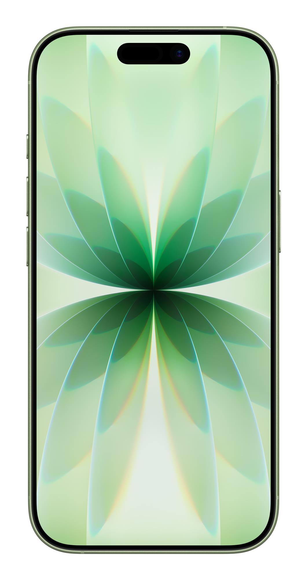 MOBILE PHONE IPHONE 17/256GB SAGE MG6N4 APPLE