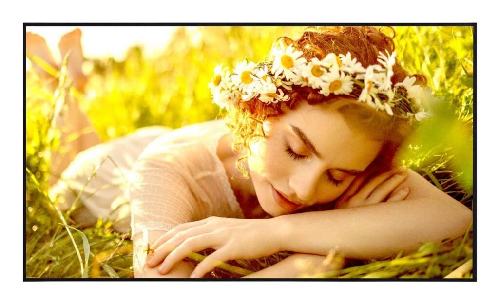 DISPLAY LCD 65″/65UL5Q-E LG