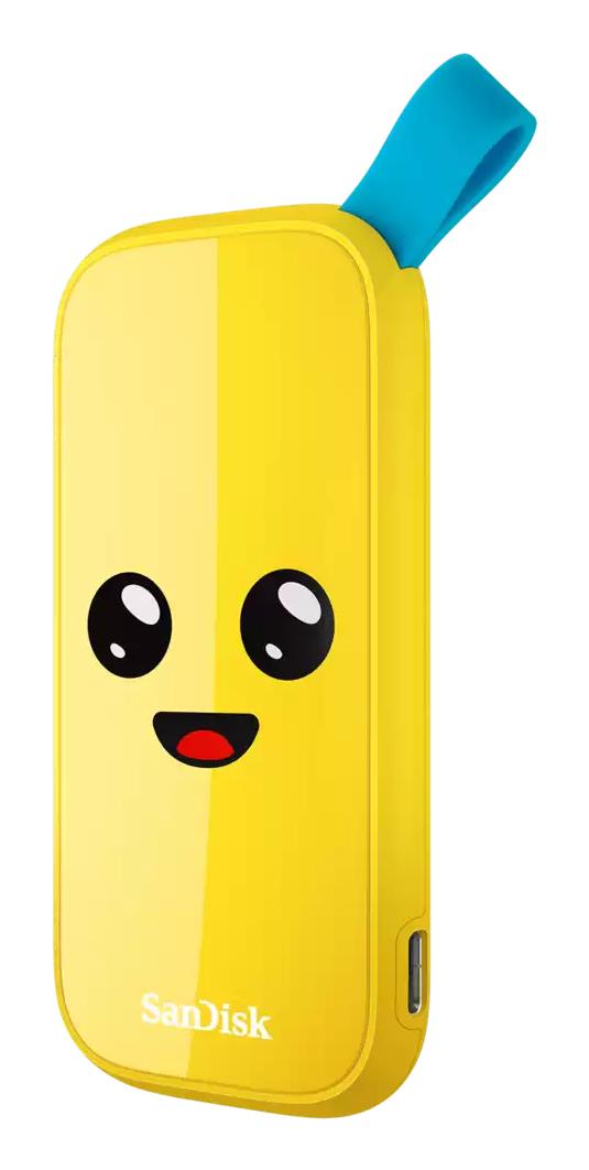 Väline SSD|SANDISK|1TB|USB 3.2|Read speed 800 MBytes/sec|SDSSDE30-1T00&#...